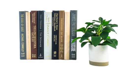 Brownstone/Cobblestone